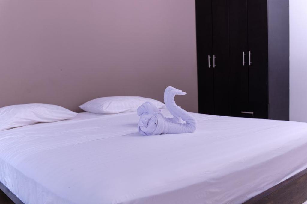 Resort Marianza Necoclí Kültér fotó